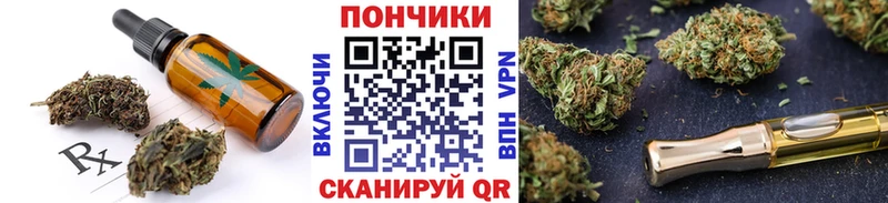 darknet как зайти Катав-Ивановск Cannafood марихуана