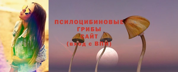 2c-b Балабаново