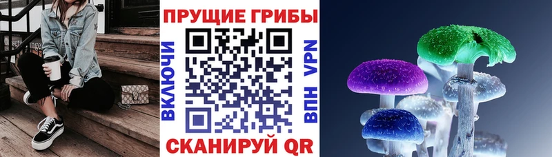 Галлюциногенные грибы мухоморы как найти закладки Катав-Ивановск
