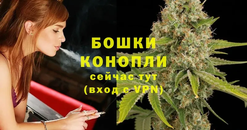 дарнет шоп  ссылка на мегу рабочий сайт  Марихуана Ganja  Катав-Ивановск 